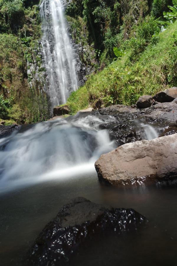 Mkoani Homestay Moshi Esterno foto