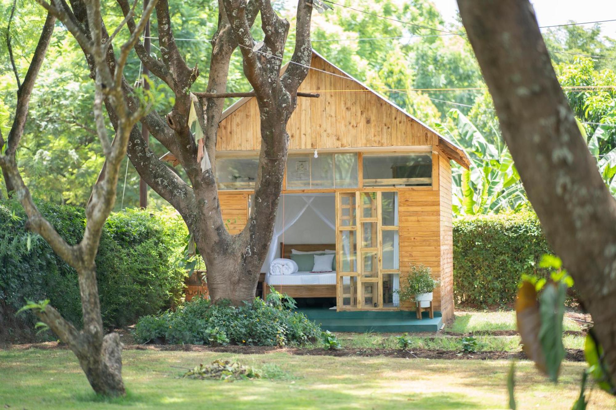 Mkoani Homestay Moshi Esterno foto
